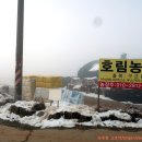 대안4리마을회관 티스토리