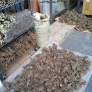 전국한약약업사 이미지