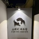 여우PC카페 | 🦊 경주 애견동반 황리단길 숙소 추천 | 자쿠지 있는 스테이여우잠3 솔직 후기 (내돈내산)