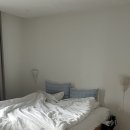 선재수선 | 불콰하게 보낸 일상