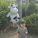연줄목장 네이버블로그