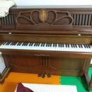 사파동391 이미지