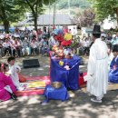 월정방풍림 이미지