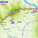 수림약품 이미지