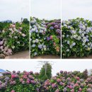 안성리-6 이미지