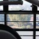 왕치과의원 이미지