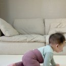 아기 배앓이 실내복 더맨디 코코하니 슈슈페 내돈내산 장단점 후기