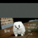 테라모텔 이미지