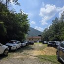 사지목 나무그늘 이미지