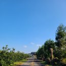 하늘농원 옆 이미지