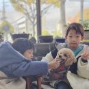 정호켄넬 네이버블로그