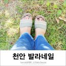 천안발라네일 이미지