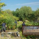 숲속노을로(1) 이미지