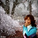소 담 이미지