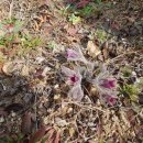 흙집정원 이미지