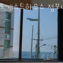 제주게스트하우스봄꽃 이미지