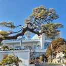 킹피자 | 오산 베이커리 카페추천｜어니언킹·먹물피자빵 골드헤겔 카페 후기