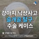 온천동물병원 이미지