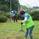 8월2일 판암동 송갑조신도비, 쌍청당애각, 용운동 송병선정려 제초 및 환경정비 이미지