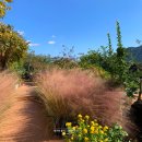 서귀동 189-6 | [24년11월 제주] 히든클리프, 주상절리, 마노르블랑, 파더스가든, 군산오름, 제주비올때 제주여행코스