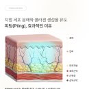 범계 피부과 통증 없는 피팅레이저 후기
