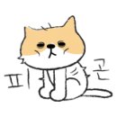 달래캐터리 이미지