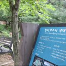 달마약수터 네이버블로그