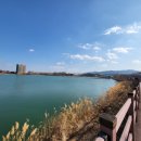 대복대구탕뽈찜 이미지