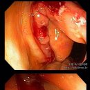 황금속내과의원 이미지