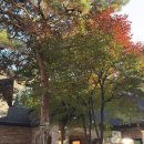 한남 제3한강주유소 | 서울 한강뷰 레스토랑 파인다이닝 맛집 <메종 한남> 분위기에 취한 내돈내산 후기