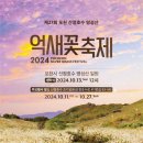 억새2축구장 네이버블로그