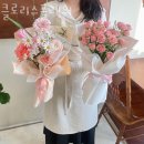 클로리스 이미지