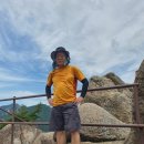 1154 | 설악산 흘림골