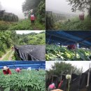 창진농장 이미지