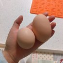 재철농장 이미지