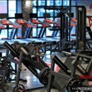 팀스파르타짐 이미지