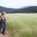 진해목장 이미지