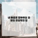 이솔치과의원 | 치아 고민, 더 이상 미룰 수 없었던 이유