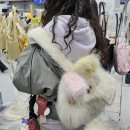 꼬마 그림작가 A반 | ✨서울 일러스트레이션 페어 2025 후기🎨