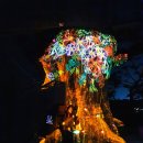 동백실내배드민턴장 | [디피랑] 통영 벽화들이 살아움직이는 빛의정원 야간여행