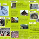 얌산 Daum카페