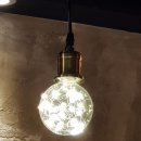 꼬지와 친구들 이미지