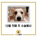 홍금동물병원 이미지