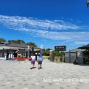 동궁과월지 주차장 화장실 이미지