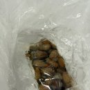 파파농수산 | 미더덕회 내돈내산 찐 솔직후기 리리파파농수산