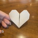 2주 동안 농구만 하는 여자(1.30-2.12)