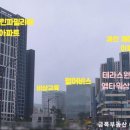 마주봄 애견미용실 이미지
