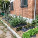 어린왕자펜션 이미지