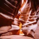 애플 텔 이미지