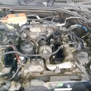 SH 모터스 이미지